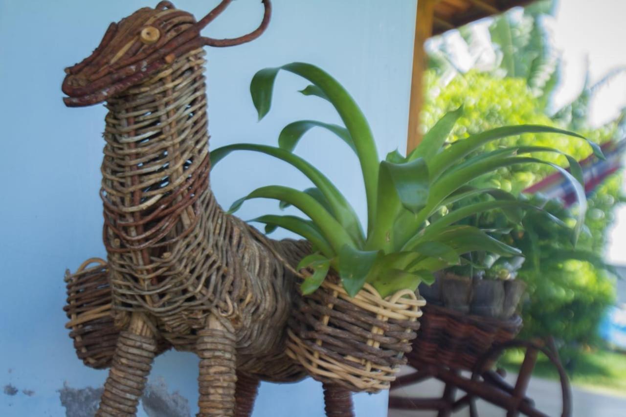 Recanto Ancora Azul - Taipu De Fora Barra Grande  Zewnętrze zdjęcie