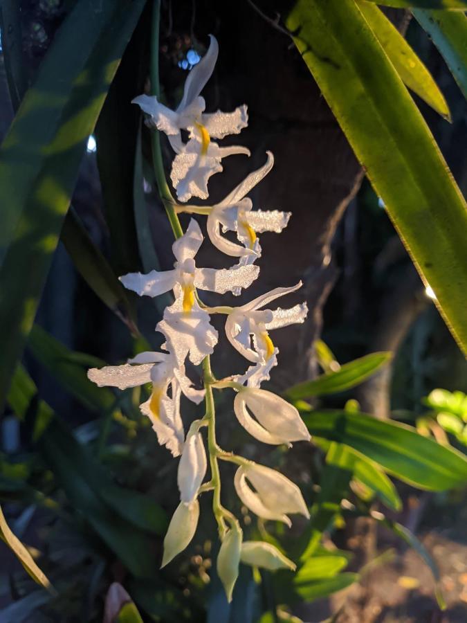 Recanto Ancora Azul - Taipu De Fora Barra Grande  Zewnętrze zdjęcie